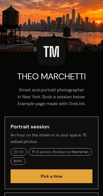 The Theo Marchetti page on OneLink